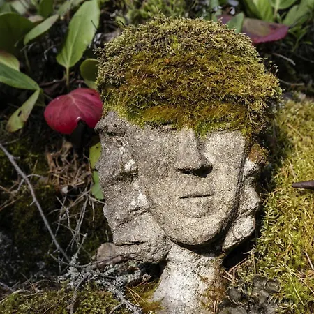 בית נופש Rustic Off-grid On Private Island With Sauna Near Tarjanne, Pohjaslahti, Finland *