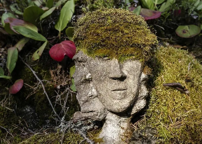 בית נופש Rustic Off-grid On Private Island With Sauna Near Tarjanne, Pohjaslahti, Finland *